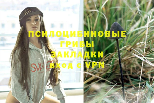 MESCALINE Дмитриев